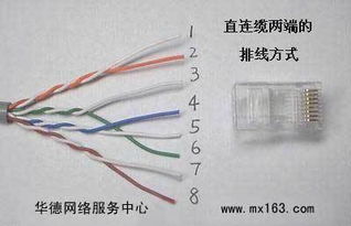 局域网内用交换机连接网线的正确做法与网线类型选择指南